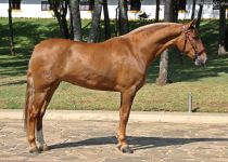 4W5A6556 (Copiar)